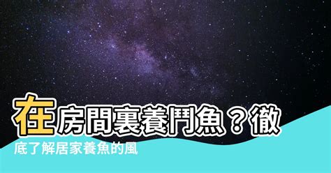 鬥魚擋煞|【鬥魚風水】鬥魚風水大揭秘：養對了旺財旺運，避開禁忌保平。